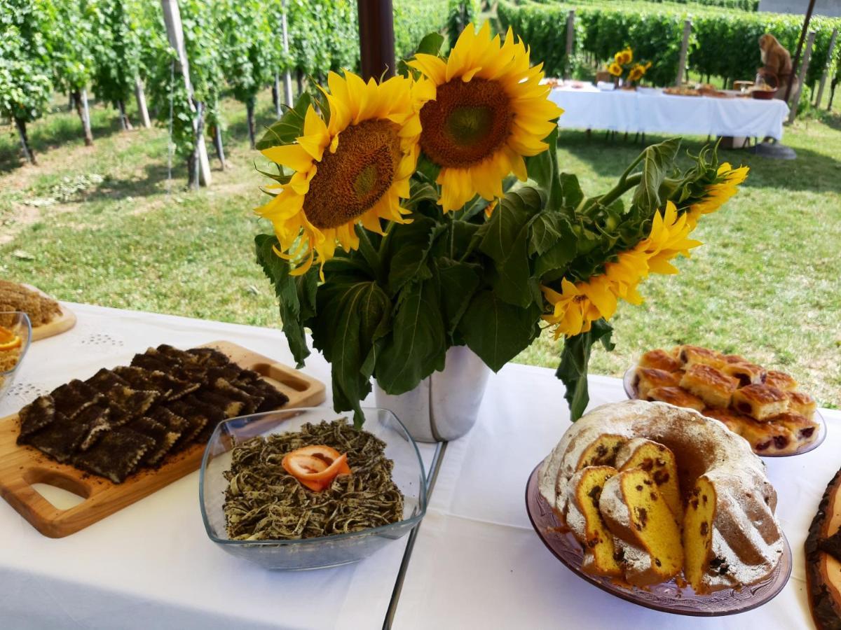 Ribarska Kuca - Ilok ,Tradicijska Kuca-Sobe Apartment Bagian luar foto